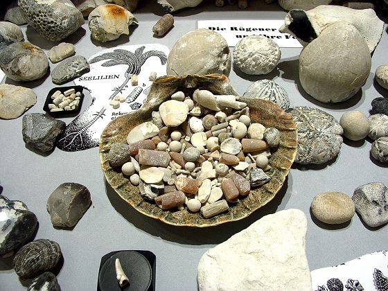 Fossilien